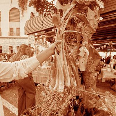 שוק האיכרים ביפו שוק האיכרים ביפו