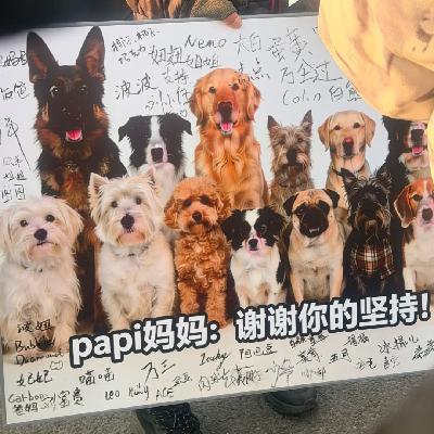 08. 若有100个“奇葩”的papi妈妈,还会有人轻易投下致命毒药吗? 08. 若有100个“奇葩”的papi妈妈,还会有人轻易投下致命毒药吗?
