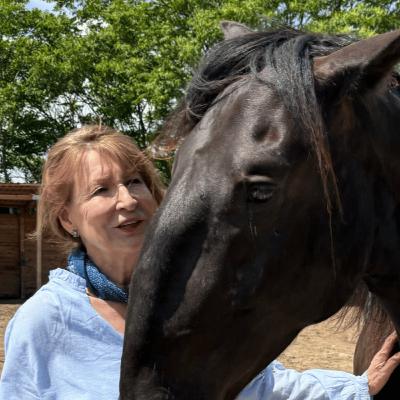 The Horse Healer