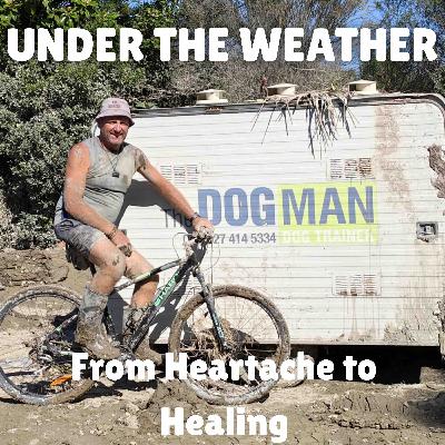 From Heartache to Healing From Heartache to Healing