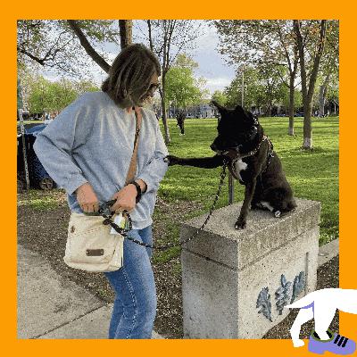 A Letter to My Dog