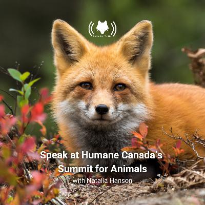 Speak at Humane Canada’s Summit for Animals with Natalia Hanson