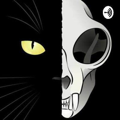 EL GATO DE SCHRÖDINGER 😺👨‍🔬 (Trailer)