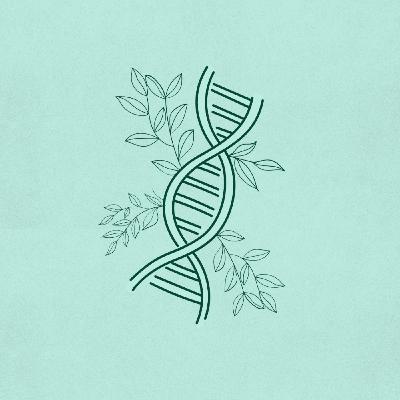 Vineyard DNA - Naturally Supernatural