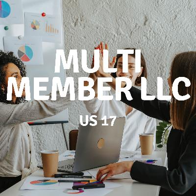 US 17 | Multi Member LLC