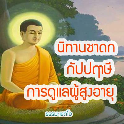 นิทานชาดกพระเจ้า 500 ชาติ ธรรมะก่อนนอน ตอนที 20 กัปปฤาษี ความคุ้นดีกว่าความสบาย การดูแลผู้สูงวัย
