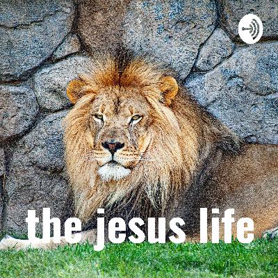 to every thing there is a time and purpose to every thing there is a time and purpose