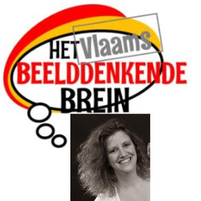 Het Vlaams Beelddenkende Brein Het Vlaams Beelddenkende Brein