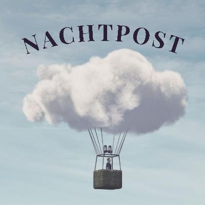 Krafttier begegnen: Meine Elefanten-Erfahrung & was dahintersteckt
