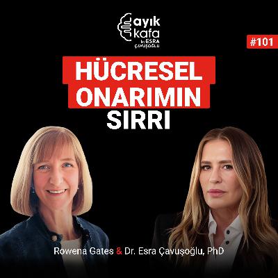 Hücresel Onarımın Sırrı