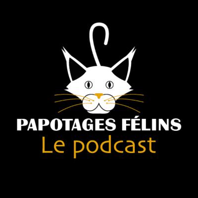 Testing, 1, 2, 3… Miaou, c’est parti pour Papotages félins ! Testing, 1, 2, 3… Miaou, c’est parti pour Papotages félins !