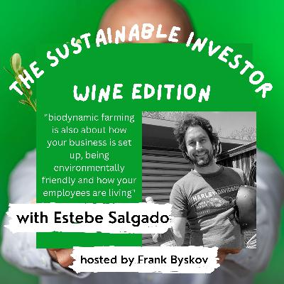 The Sustainable Consumer - wine edition
