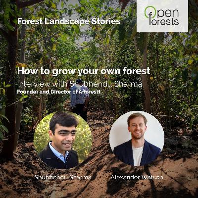 How to grow your own forest