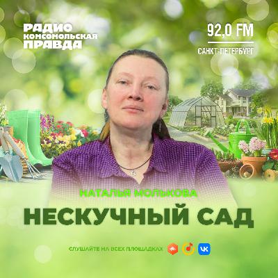 Осенние хлопоты: что сделать в саду до зимы