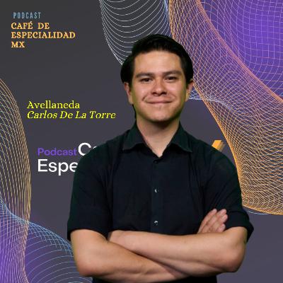 34 / Avellaneda / CDMX / Carlos De La Torre 34 / Avellaneda / CDMX / Carlos De La Torre