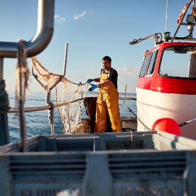 Mundo rural - Pesca en el Mediterráneo - 07/11/25