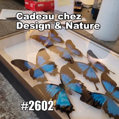 Quel cadeau chez Design & Nature ? Paris inattendu (Genuine Paris conversation)