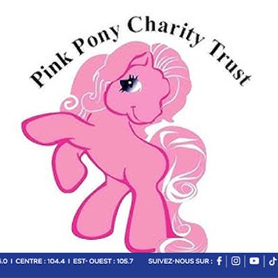 Pink Pony Charity Trust lance un crowdfunding : Aidez à financer un 4x4 pour secourir les chiens errants