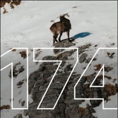 New Zealand Tahr: The Ultimate Mountain Hunt | Big Hunt Guys, Ep. 174