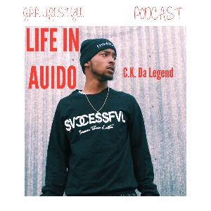 Life In Audio Podcast [Episode 1: The Introduction of L.I.A.]