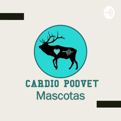 6. Holter 24 horas, ¿Qué es esa prueba? 6. Holter 24 horas, ¿Qué es esa prueba?