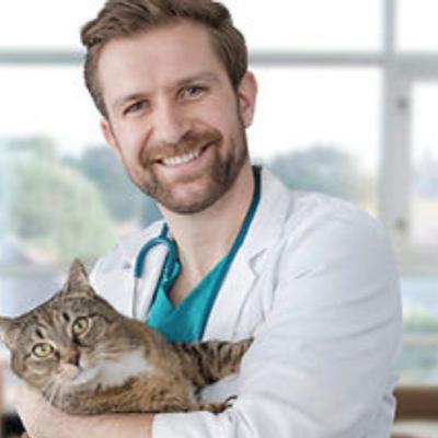 Low Stress Vet Visit