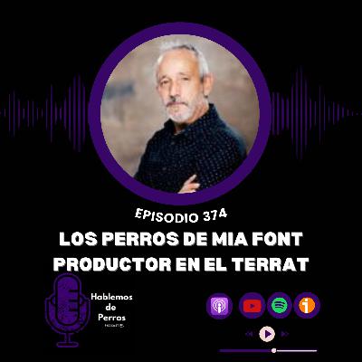 Ep#374: Los perros de Mia Font, Productora El Terrat Ep#374: Los perros de Mia Font, Productora El Terrat