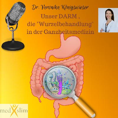 podcast #007 - ist unser Darm schuld an Übergewicht und Körpertoxinen?
