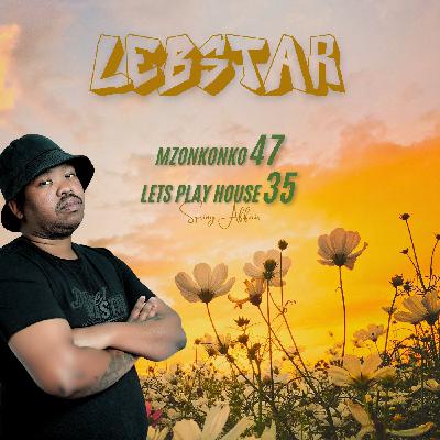 Mzonkonko 47 (Spring Affair)