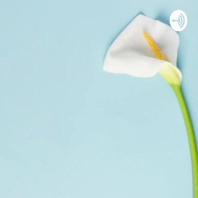 S2 E12: Juran's tilogy