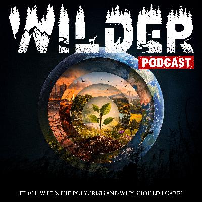 Ep. 051: WTF is the Polycrisis and why should I care?