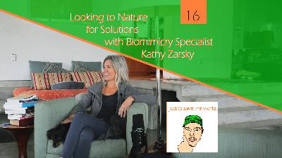 Looking to Nature for Solutions