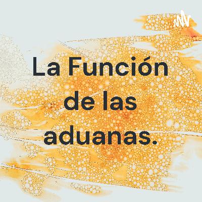 La función de las aduanas