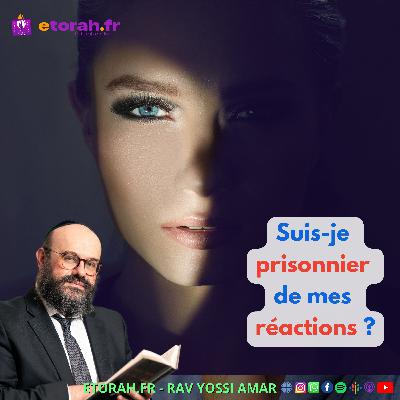 Iguérèt HaKodech Ch. 15 #2: Sommes-nous condamnés à nos réactions ? Iguérèt HaKodech Ch. 15 #2: Sommes-nous condamnés à nos réactions ?