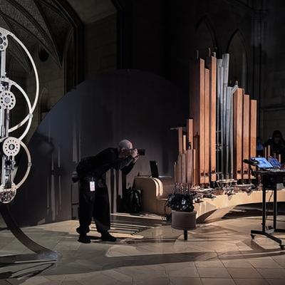 The Iron Gates, Steven Daly, Organism