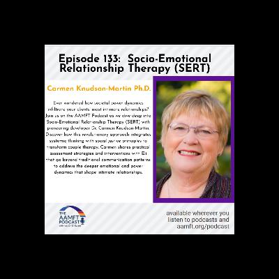 Episode 133: Socio-Emotional Relationship Therapy (SERT)