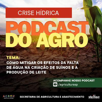 PODCAST DO AGRO: CRISE HÍDRICA - EP03 PODCAST DO AGRO: CRISE HÍDRICA - EP03