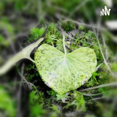 Duunaripohtii iltakahvilla Vire-messu kuulumisia ja lyhytterapiaan liittyviä ajatuksia.