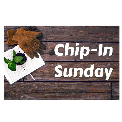 Cooking With Enzymes Ft. Kevin Jeung