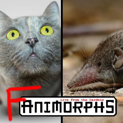 Live from the Gardens: The Visitor