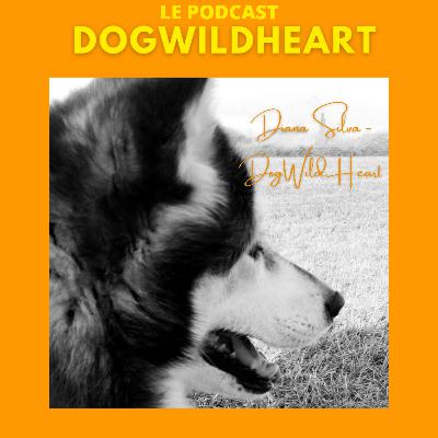 L'exploration du genre littéraire des mémoires à travers mon ebook de DogWildHeart