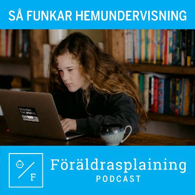 Så funkar hemundervisning