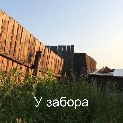 У забора