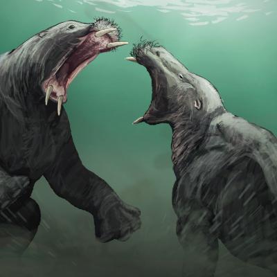 The Only Marine Mammals That No Longer Exist