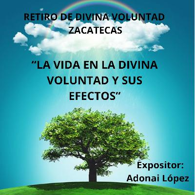 40. Querer Divino, luz del alma.