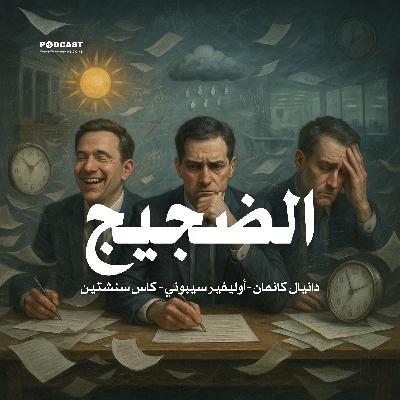 الضجيج: عيب في الحكم البشري (ملخص)