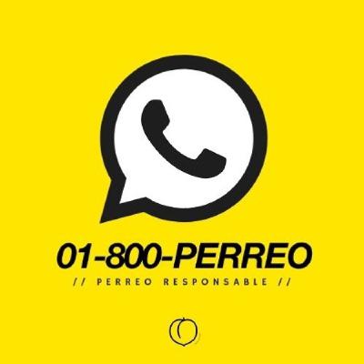 PERREO V3