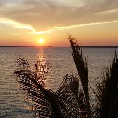 The D Word (aka Depression 🤫)