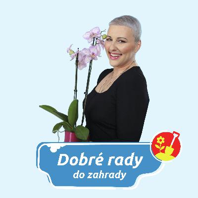 DOBRÉ RADY DO ZAHRADY NA RÁDIU BLANÍK- Ochrana zahrady před zimními výkyvy
