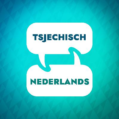 Leer Tsjechisch: net voorbij de basis Leer Tsjechisch: net voorbij de basis